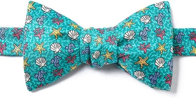Aqua Silk Bow Tie | In Deep Water Self Tie Bow Tie
