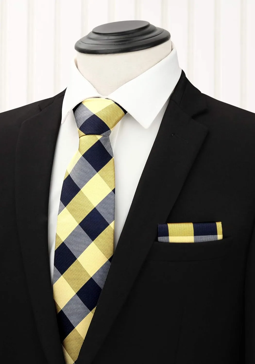 HISDERN Mens Ties Set 5PCS Collection Tie with Pocket Sqaure Formal Business Necktie Present Box Neckties Set for Men