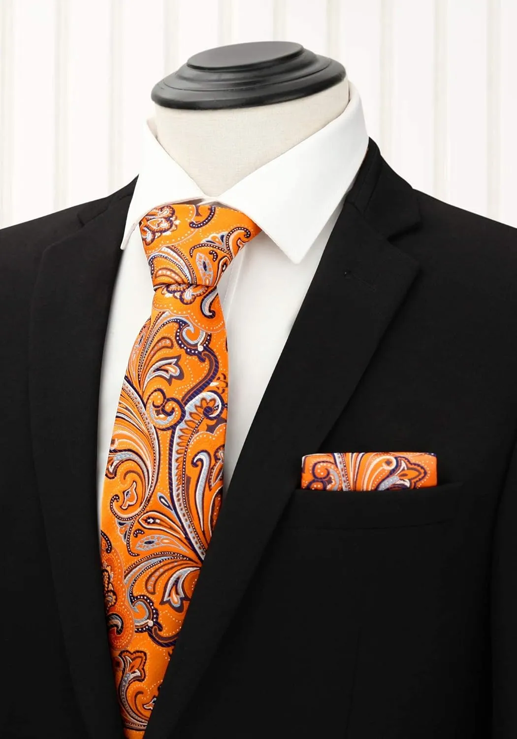 HISDERN Mens Ties Set 5PCS Collection Tie with Pocket Sqaure Formal Business Necktie Present Box Neckties Set for Men