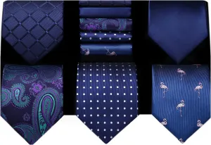 HISDERN Mens Ties Set 5PCS Collection Tie with Pocket Sqaure Formal Business Necktie Present Box Neckties Set for Men