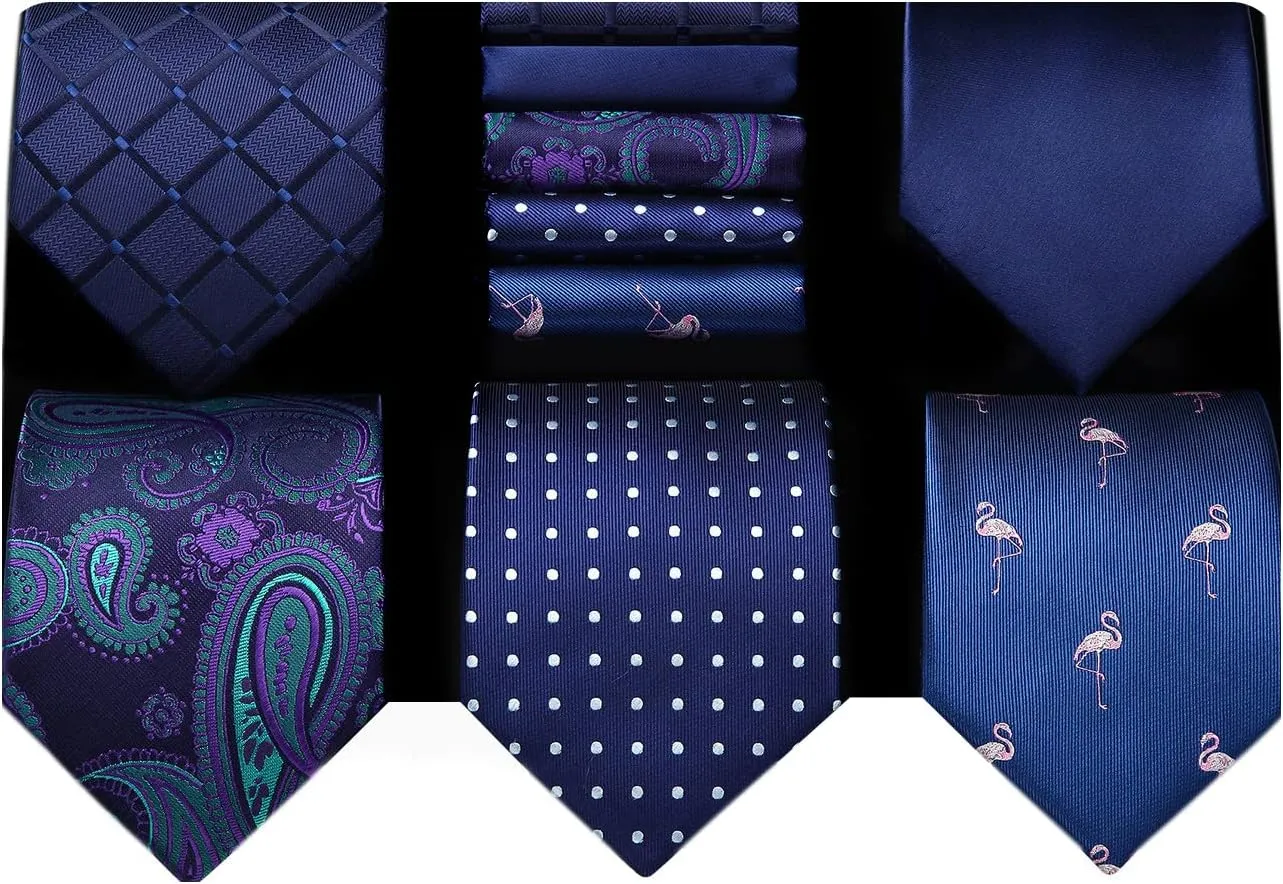 HISDERN Mens Ties Set 5PCS Collection Tie with Pocket Sqaure Formal Business Necktie Present Box Neckties Set for Men