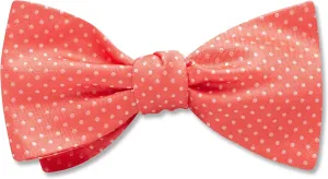 Oriel Coral - bow ties