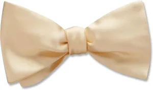 Somerville Ivory - bow ties